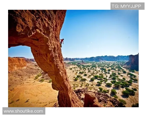 重庆极限运动队在世界攀岩锦标赛中的精彩表现与节奏分析