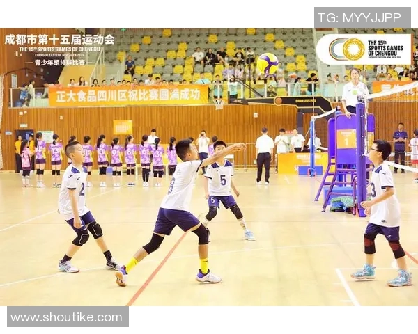 深入分析成都排球队区域防守战术的特点与应用策略